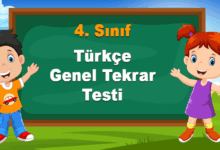 4. Sınıf Türkçe Genel Tekrar Testi