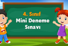 Mini Deneme Sınavı