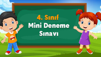 Mini Deneme Sınavı
