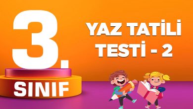 3.-Sinif-Yaz-Tatili-Testi-2