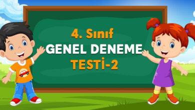 4. Sınıf Yaz Tatili Testi 2