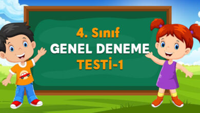 4.-sınıf-genel-deneme
