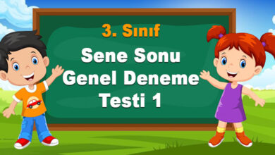 Genel Deneme Testi 3