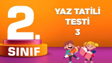 2.-sinif-yaz-tatili-testi-3