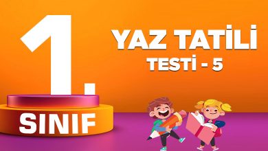 1.-sinif-yaz-tatili-testi-5