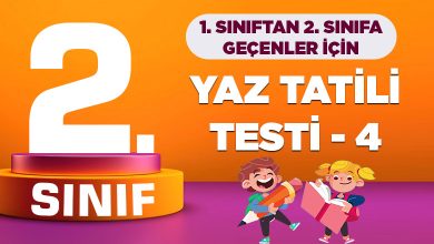 2.-SINIF-YAZ-TATILI-TESTI-4