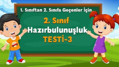 2. Sınıf Hazırbulunuşluk Testi-3