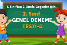 2. Sınıf Hazırbulunuşluk Testi 5