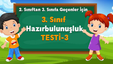 3. Sınıf Hazırbulunuşluk Testi - 3
