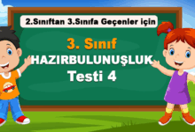 3. Sınıf Hazırbulunuşluk Testi 4