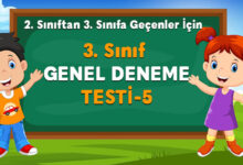 3. Sınıf Hazırbulunuşluk Testi-5
