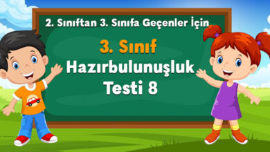 3. Sınıf Hazırbulunuşluk Testi 8