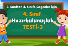 4. Sınıf Hazırbulunuşluk Testi 3