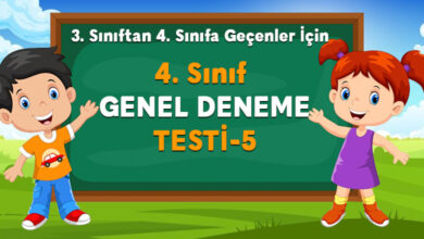 4. Sınıf Hazırbulunuşluk Testi 5