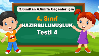 4. Sınıf Hazırbulunuşluk Testi 4