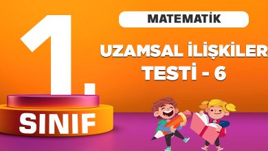 1. Sınıf Matematik Uzamsal İlişkiler Tesi -5