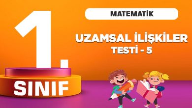 1. Sınıf Matematik Uzamsal İlişkiler Testi 5