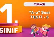 1. Sınıf Türkçe A Sesi Testi 5