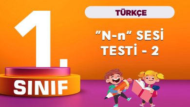 1. Sınıf Türkçe N Sesi Testi-2