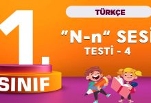 1. Sınıf Türkçe N sesi testi 4