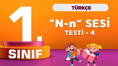 1. Sınıf Türkçe N sesi testi 4