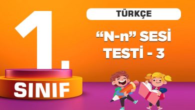 1. Sınıf Türkçe n Sesi Testi-3