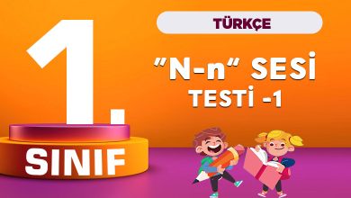 1. Sınıf Türkçe n sesi testi 1