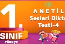 A N E T İ L Sesleri Dikte Testi-4
