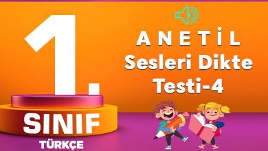 A N E T İ L Sesleri Dikte Testi-4