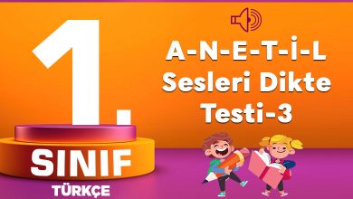 1. Sınıf Türkçe A-N-E-T-İ-L Sesleri Dikte Testi-3