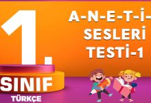 1. Sınıf Türkçe A-N-E-T-İ-L Sesleri Testi-1