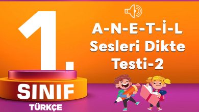 1. Sınıf Türkçe A-N-E-T-İ-L Sesleri Dikte Testi-2