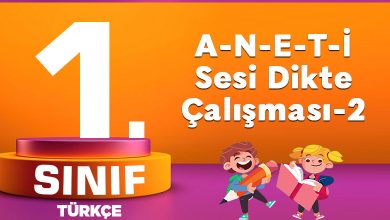 1. Sınıf Türkçe A-N-E-T-İ Sesi Dikte Çalışması-2