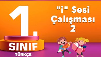 1. Sınıf Türkçe "i" Sesi Çalışması-2
