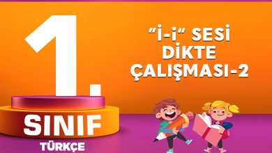 1. Sınıf Türkçe i Sesi Dikte Çalışması-2