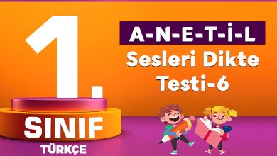 1.Sınıf A-N-E-T-İ-L Sesleri Dikte Testi-6