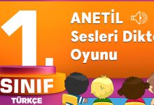 1.Sınıf ANETİL Sesleri Dikte Oyunu