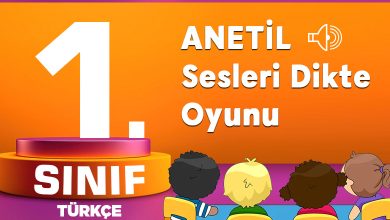 1.Sınıf ANETİL Sesleri Dikte Oyunu