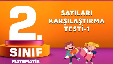 2. Sınıf Matematik Sayıları Karşılaştırma Testi-1