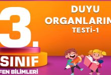 3. Sınıf Fen Bilimleri Duyu Organlarımız Testi-1