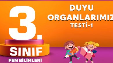 3. Sınıf Fen Bilimleri Duyu Organlarımız Testi-1
