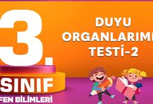 3. Sınıf Fen Bilimleri Duyu Organlarımız Testi-2