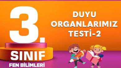 3. Sınıf Fen Bilimleri Duyu Organlarımız Testi-2