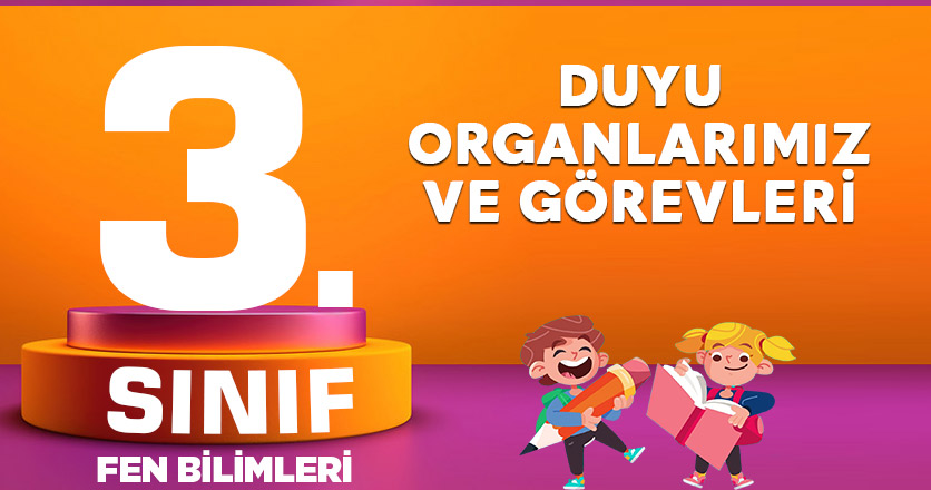 3. Sınıf Fen Bilimleri Duyu Organlarımız ve Görevleri