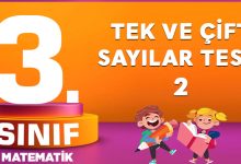 3. Sınıf Matematik Tek ve Çift Sayılar Testi-2