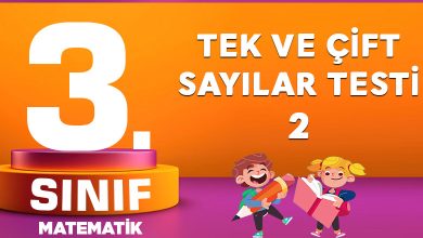 3. Sınıf Matematik Tek ve Çift Sayılar Testi-2