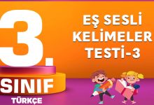 3. Sınıf Türkçe Eş Sesli Kelimeler Testi-3