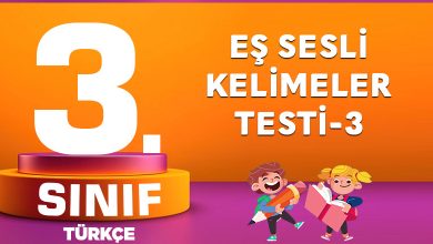 3. Sınıf Türkçe Eş Sesli Kelimeler Testi-3
