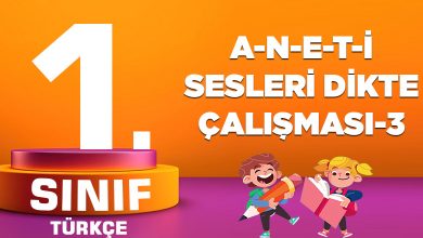 1. Sınıf Türkçe A-N-E-T-İ Sesi Dikte Çalışması-3