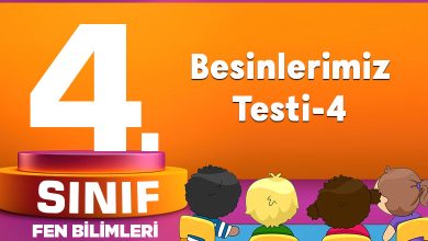 Besinlerimiz